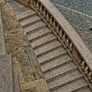 20 Fotozirkel Mannheim e.V. Felix Novotny